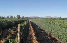 El Nevado & Fow Wineries Visit