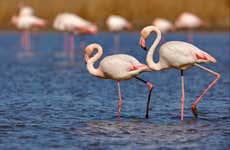 Day Trip to the Pozuelos Lagoon
