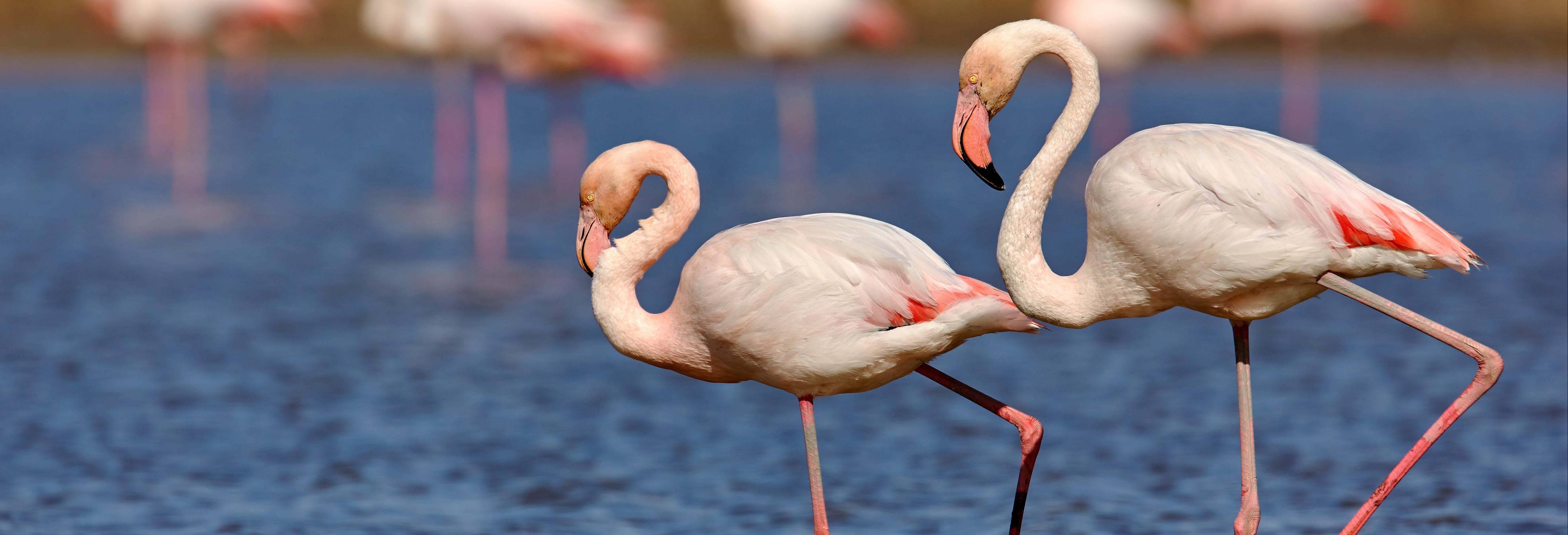 Day Trip to the Pozuelos Lagoon