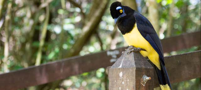 Escursione al Parco Nazionale di Calilegua