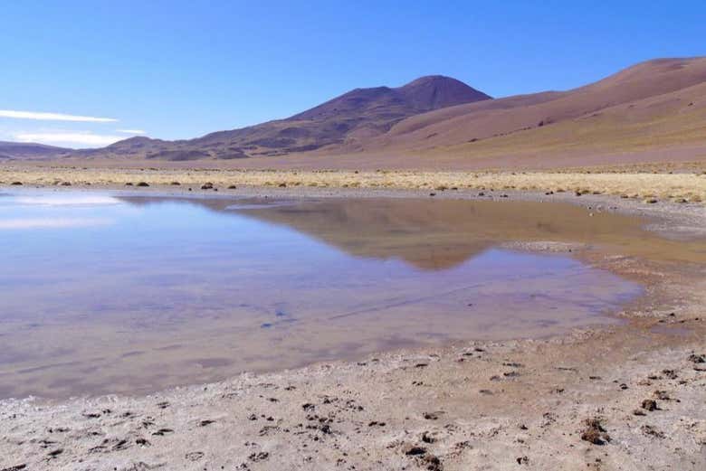 Imagen 5