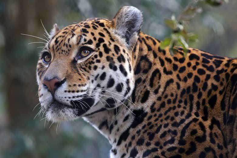 Imagen 7