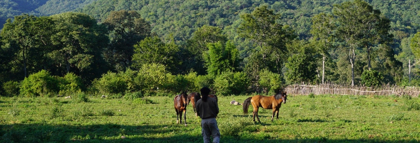 Yungas Horseback Ride + Argentinian Barbecue