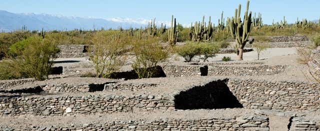 Excursión a las ruinas de Quilmes + Visita a las bodegas de Tucumán