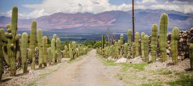 Escursione a Tafí del Valle