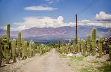 Tafí del Valle Tour