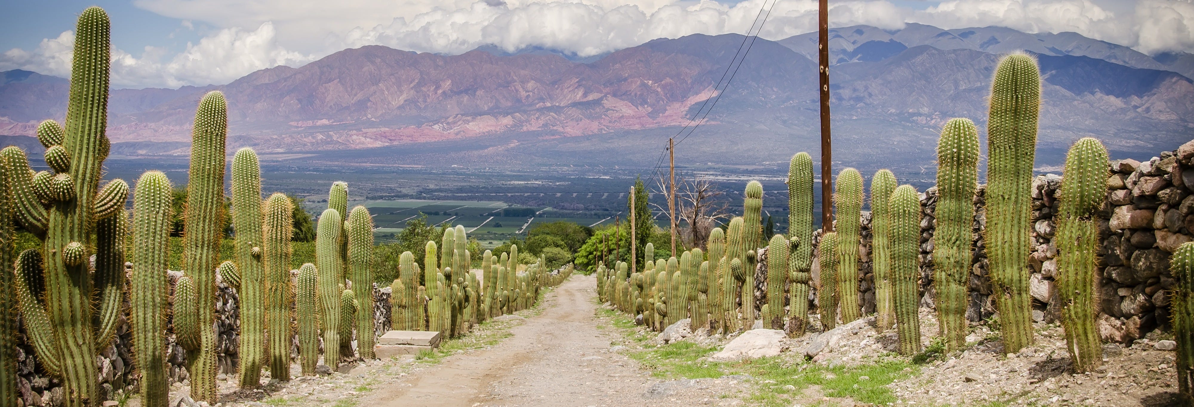 Tafí del Valle Tour