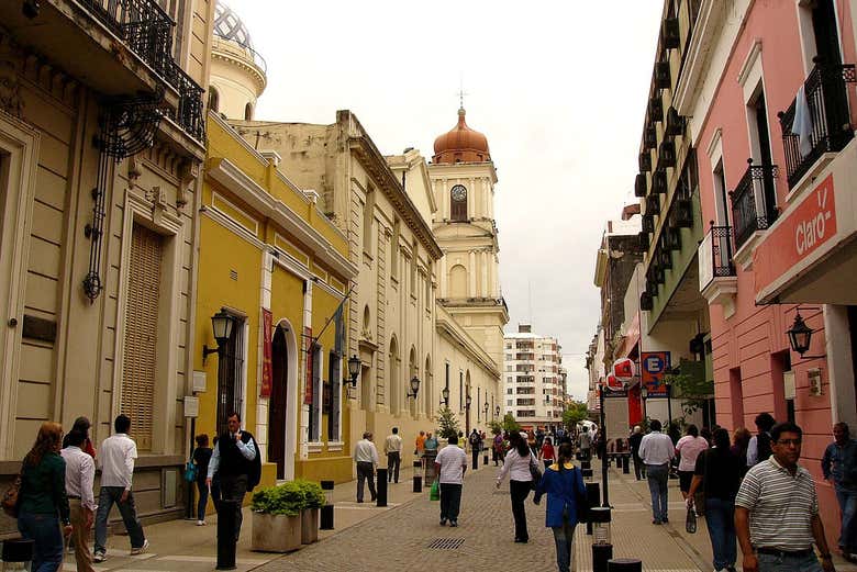 Imagen 6