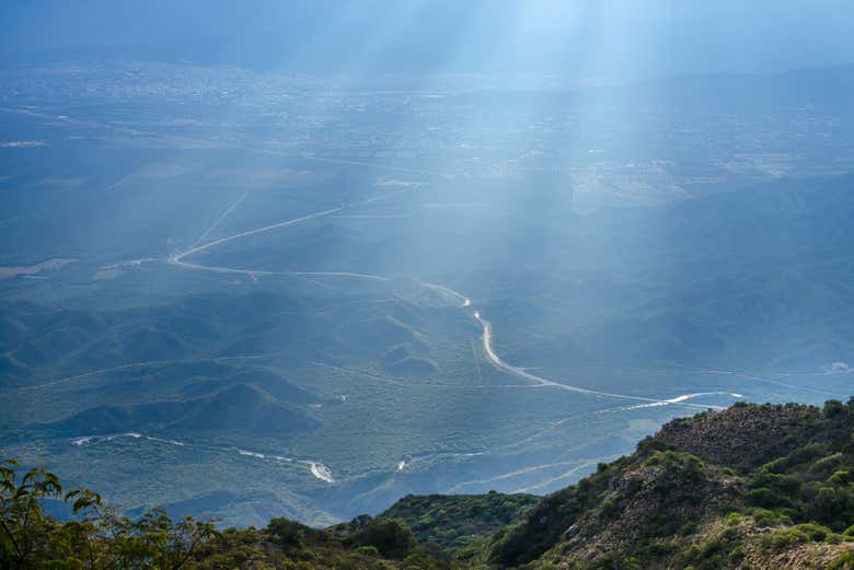 Imagen 4