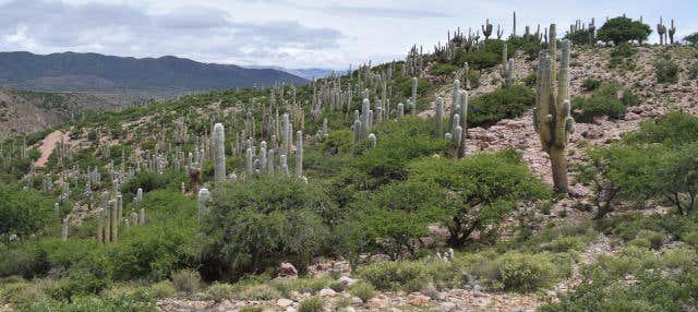 Escursione alla Quebrada de Sapagua + Comunità di Hornaditas