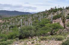 Quebrada de Sapagua & Hornaditas Community Day Trip