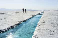 Salinas Grandes Day Trip