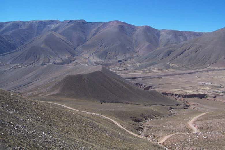 Imagen 8