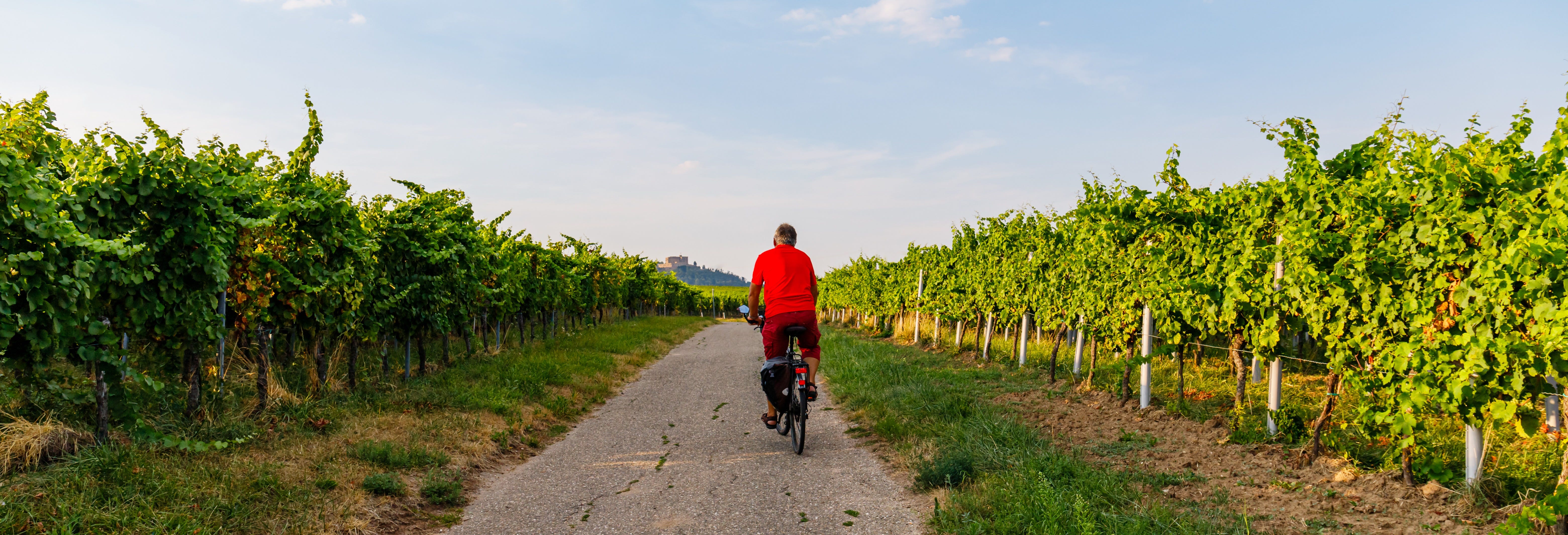 Mendoza Wine Bike Tour