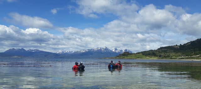Immersione per principianti nel Canale di Beagle