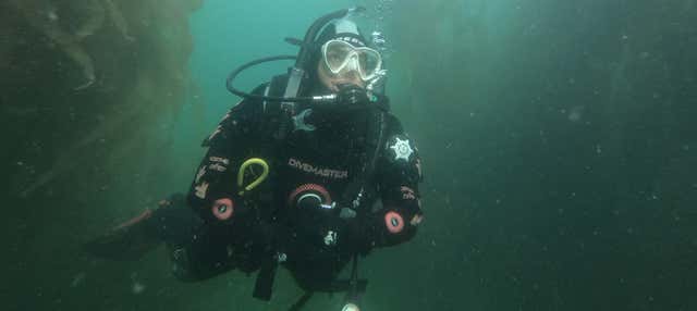 Immersione nel Canale di Beagle