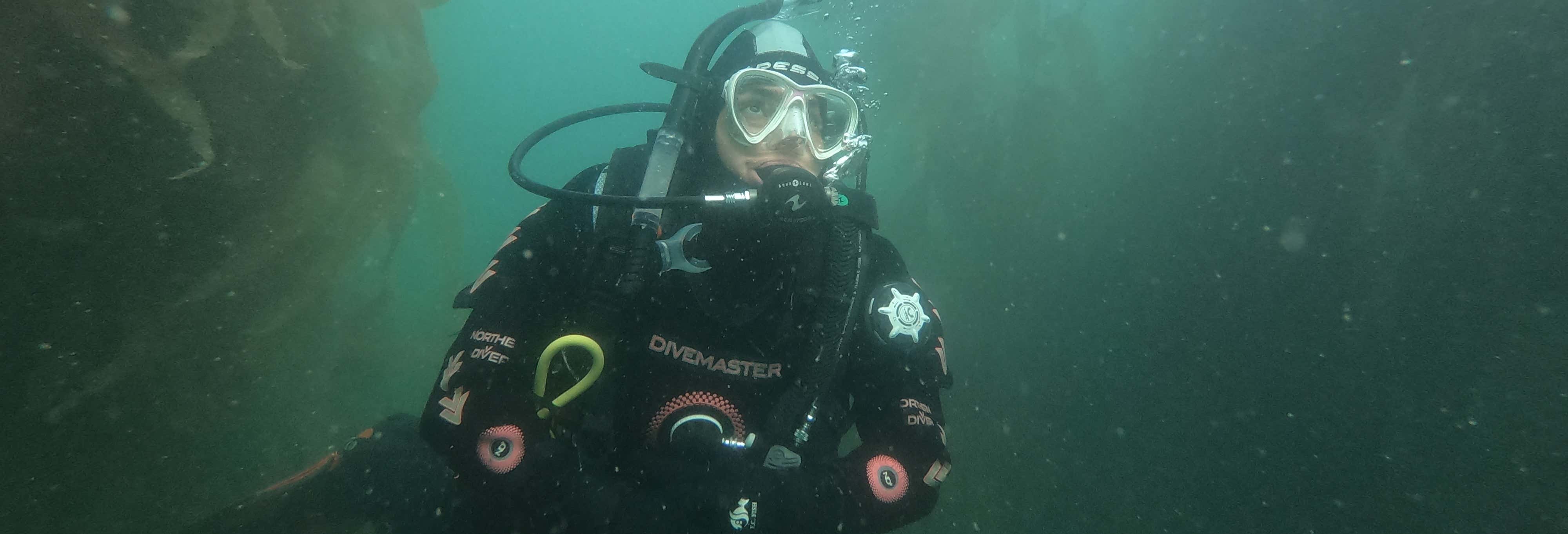 Immersione nel Canale di Beagle
