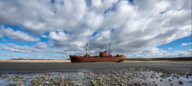 Escursione a Capo San Pablo e all'Estancia Pirinaica