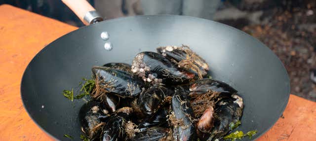 Escursione al Canale di Beagle con pranzo
