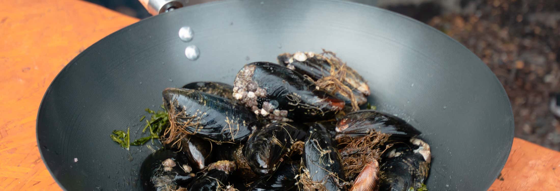 Escursione al Canale di Beagle con pranzo