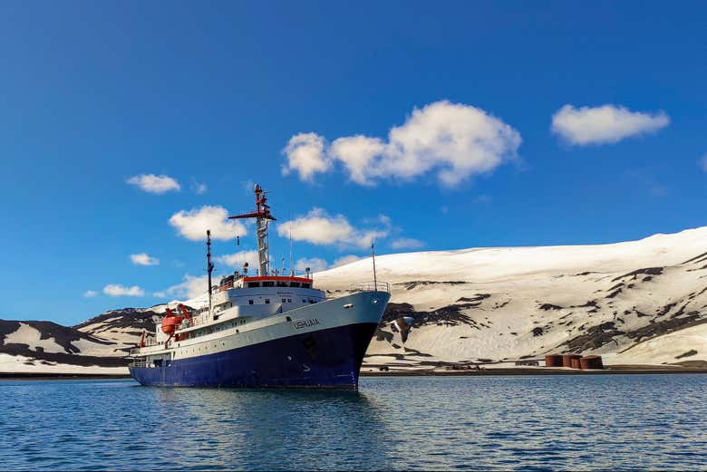 Imagen 11