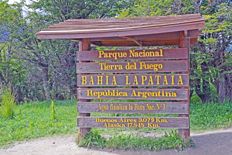 Imagen 4