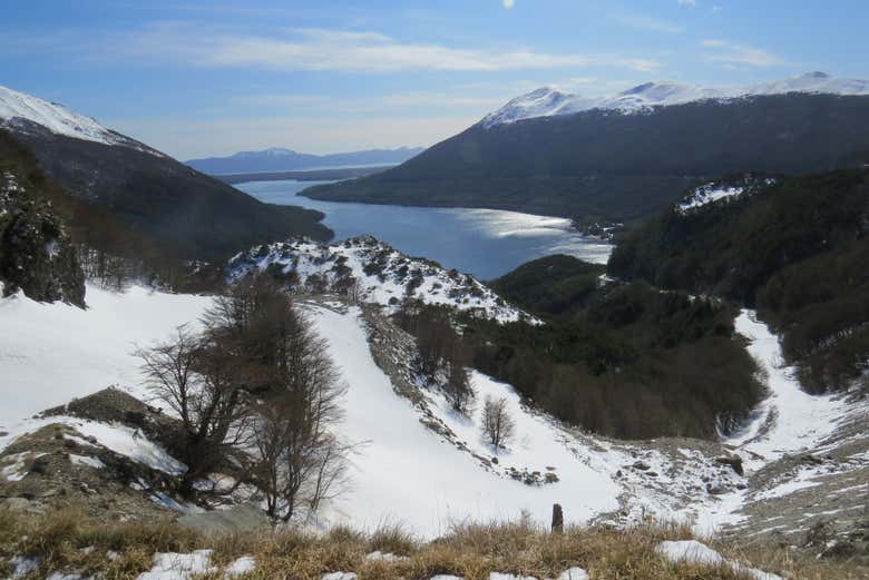 Imagen 2