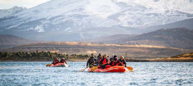 Excursión a Isla Gable y pingüinera de isla Martillo + Paseo en canoa por el canal Beagle