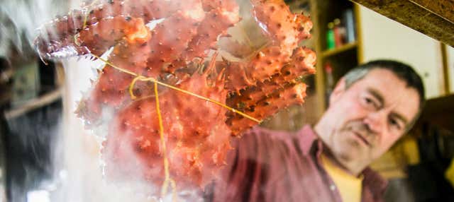 Escursione a Puerto Almanza e alla laguna Victoria + Pranzo al Canale di Beagle