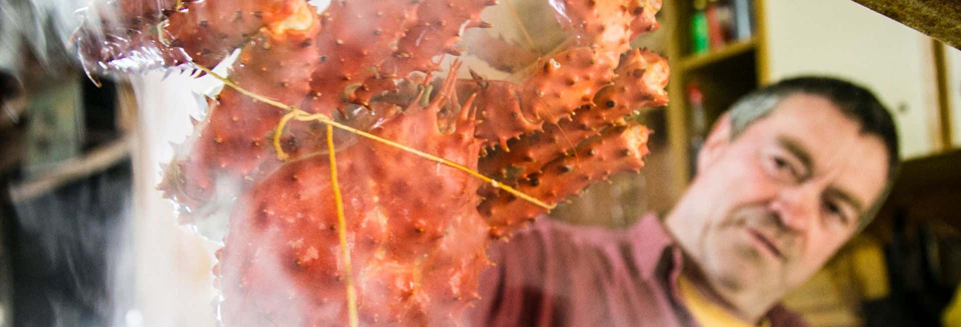 Escursione a Puerto Almanza e alla laguna Victoria + Pranzo al Canale di Beagle