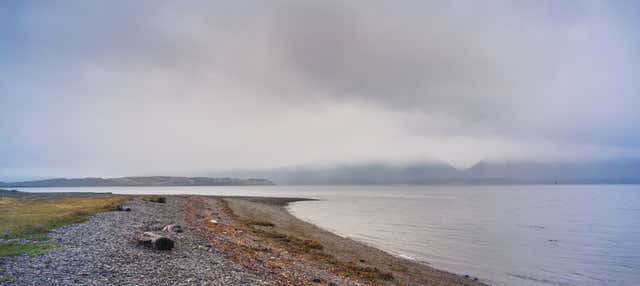 Ruta de la Centolla + Avvistamento di pinguini a Isla Martillo