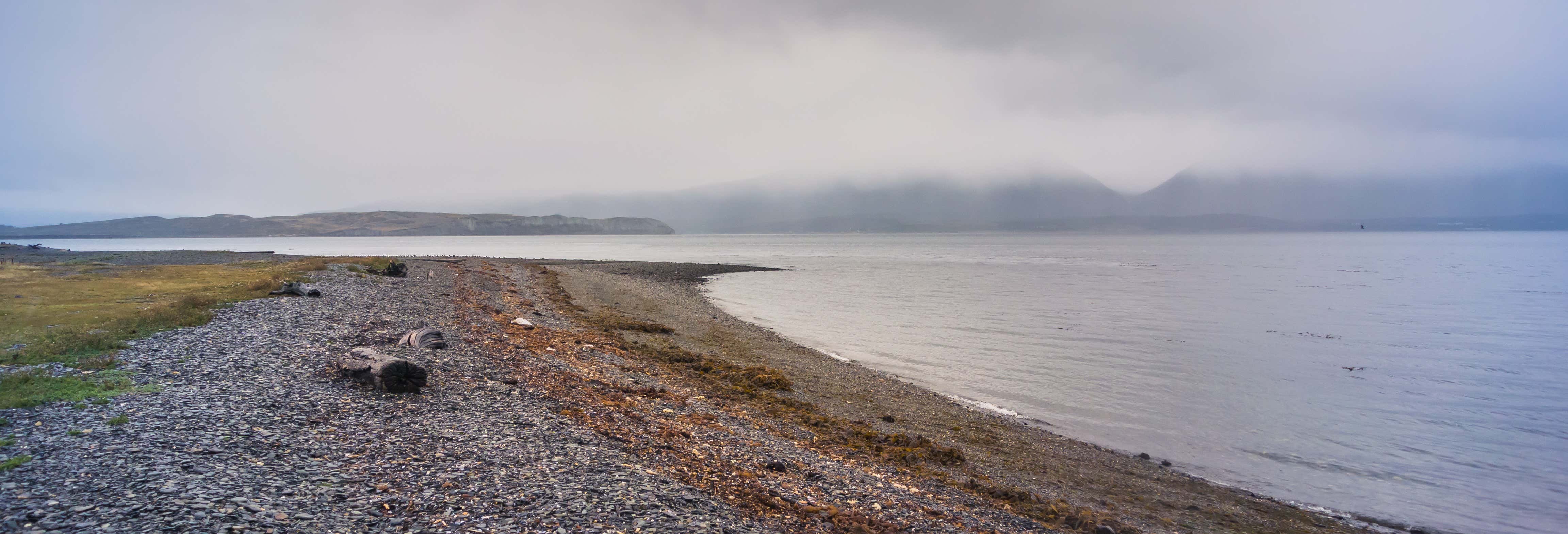 Ruta de la Centolla + Avvistamento di pinguini a Isla Martillo