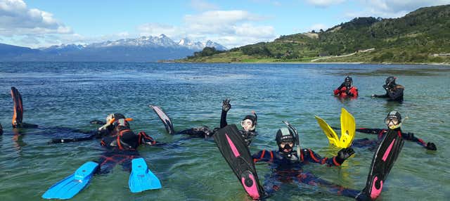 Snorkeling nel Canale di Beagle
