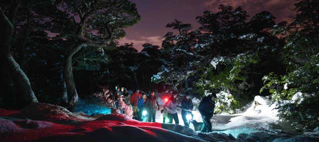 Trekking serale sul ghiacciaio Martial