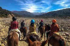Paseo a caballo por Vaqueros