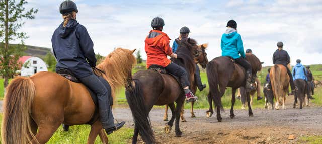 Belvederi di Villa Carlos Paz, passeggiata a cavallo, Ice Bar e Museo Mundo Irreal