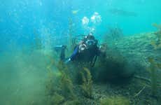 Diving in Correntoso Lake