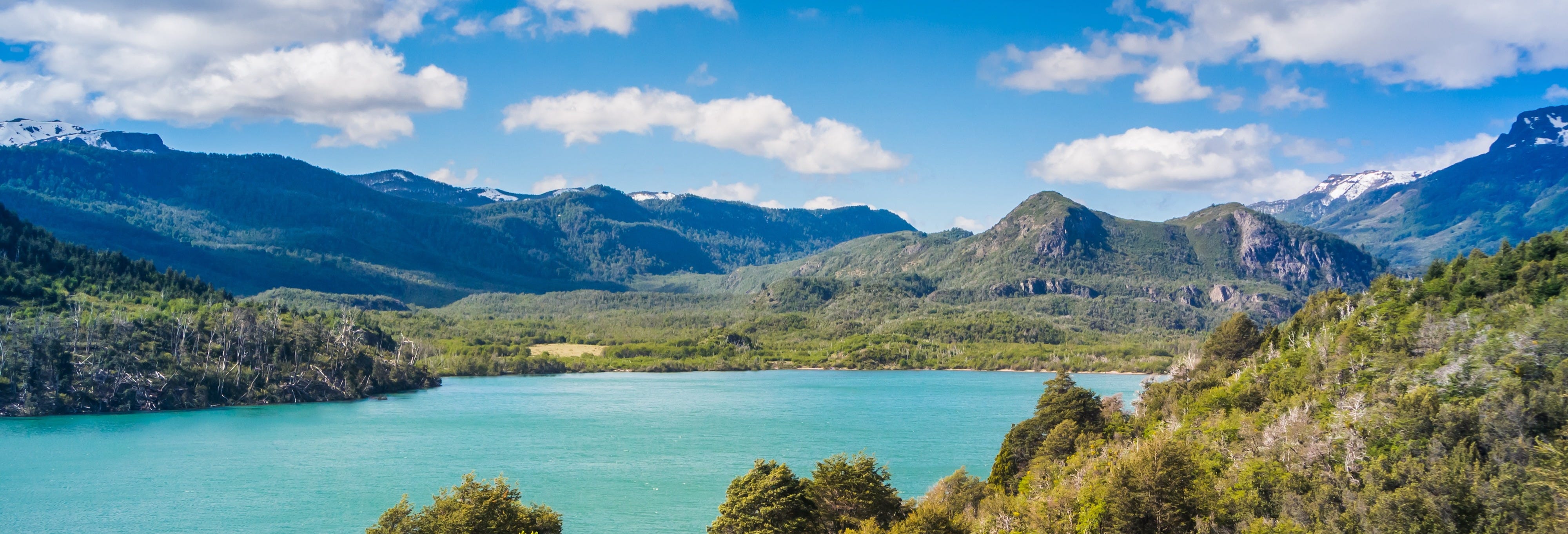 Road of the Seven Lakes + San Martin de los Andes