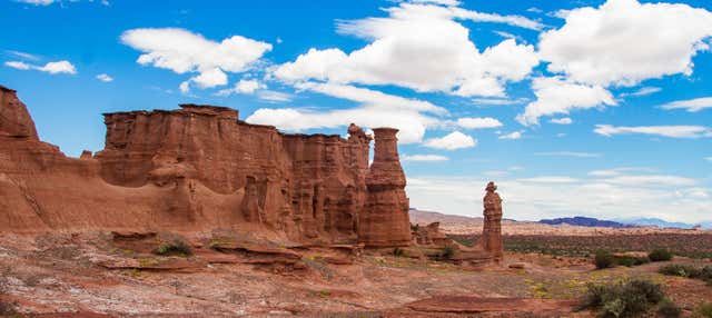 Escursione ai parchi di Talampaya e Ischigualasto