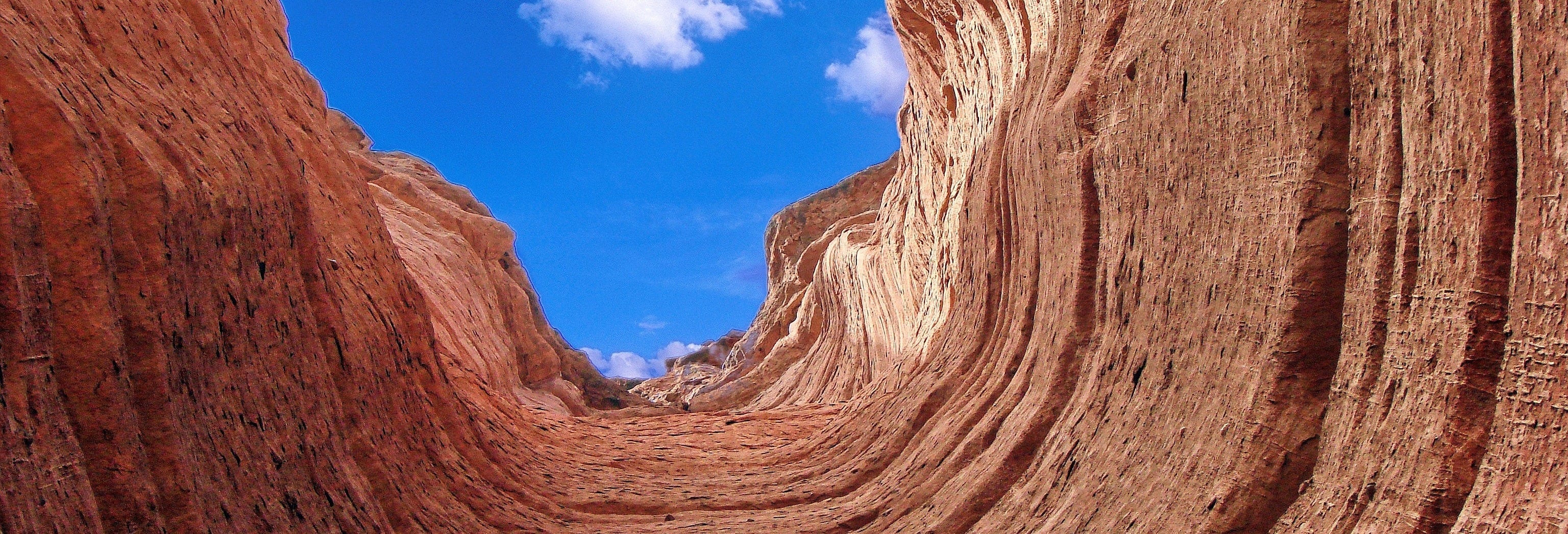 Talampaya Canyon Tour