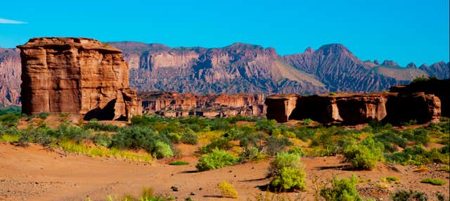 Trekking nel Canyon di Talampaya o nella Quebrada Don Eduardo