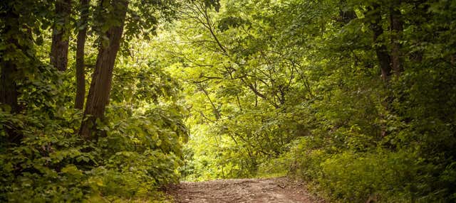 Trekking alle Yungas di Tucumán