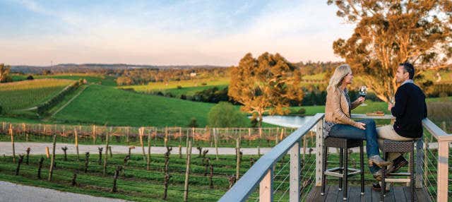 Autobus turistico dei vigneti di Adelaide