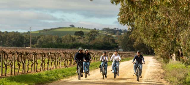Tour del vino in bicicletta elettrica