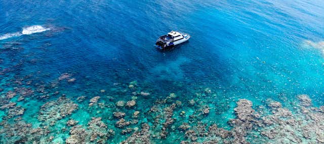 Noleggio di barca privata con skipper