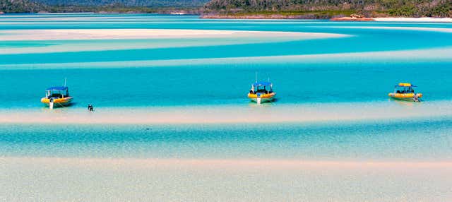Escursione all'isola di Whitsunday e Hook Island con snorkeling