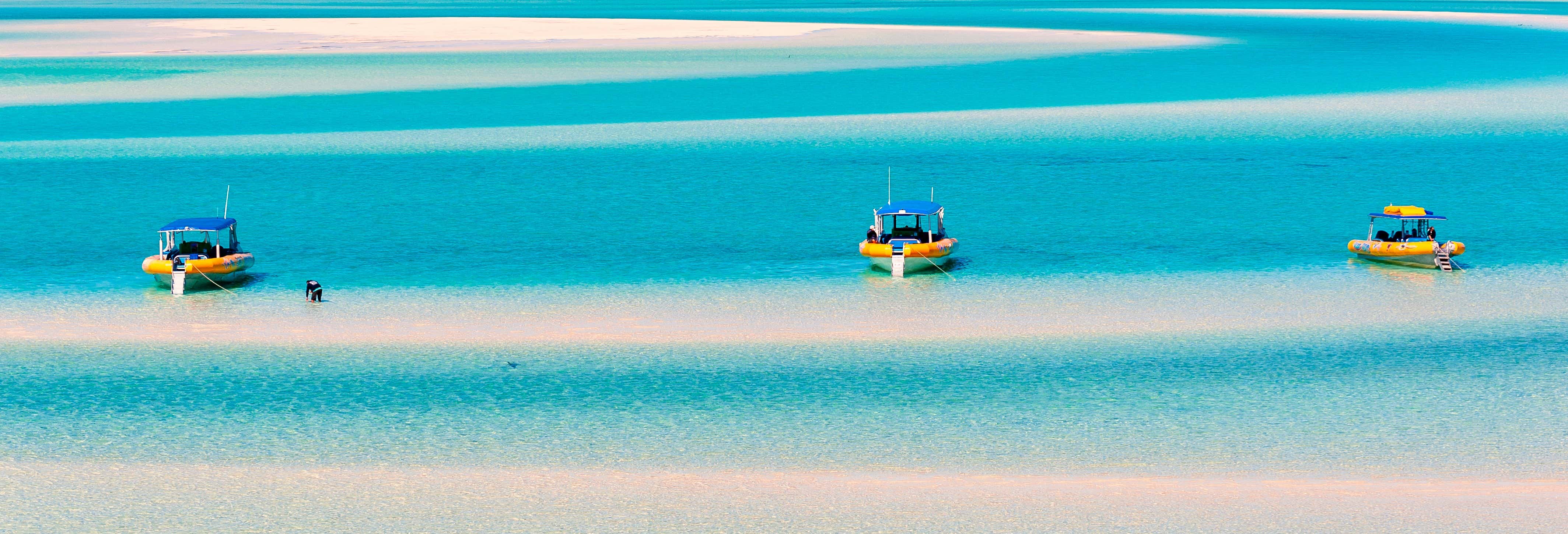 Escursione all'isola di Whitsunday e Hook Island con snorkeling