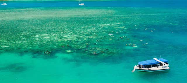 Escursione alle isole Whitsundays in barca