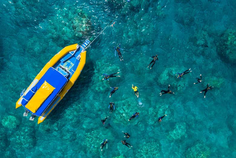 Whitsunday Island Excursion + Snorkeling