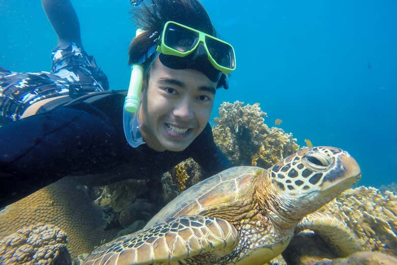 Whitsunday Islands & Hook Island Day Trip with Snorkelling